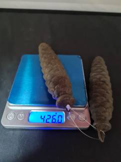 Antika  Guguklu Saat Ağırlikları (426) 420-430gr Saat ağırlığı